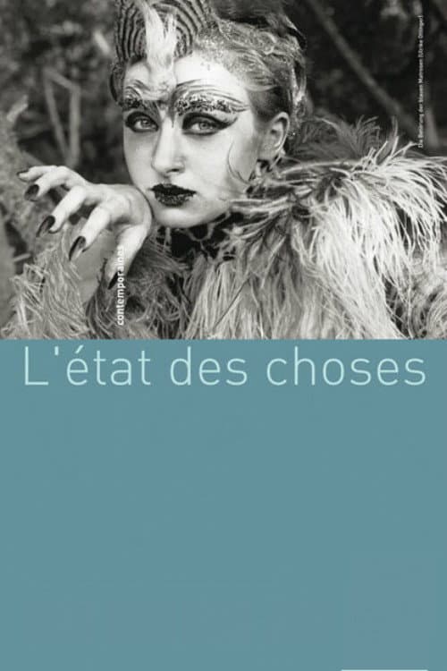 Постер: Les réalisatrices contemporaines:  l'état des choses