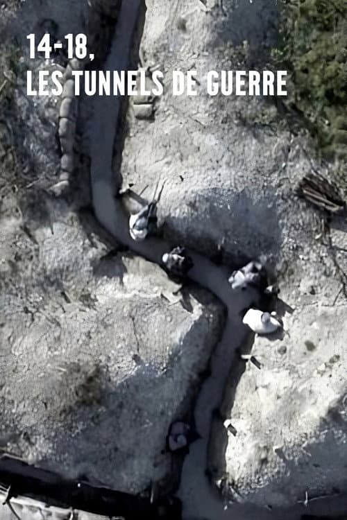 Постер: 14-18, les tunnels de guerre