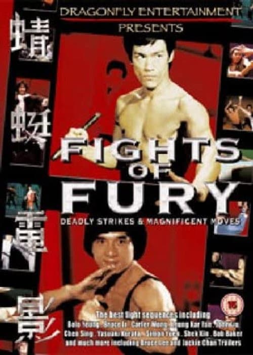 Постер: Fights of Fury