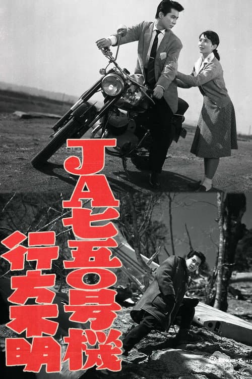 Постер: JA750号機行方不明