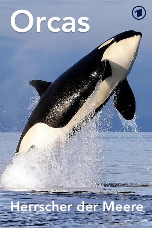 Постер: Orcas - Herrscher der Meere