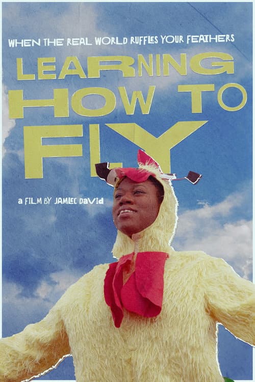 Постер: Learning How To Fly