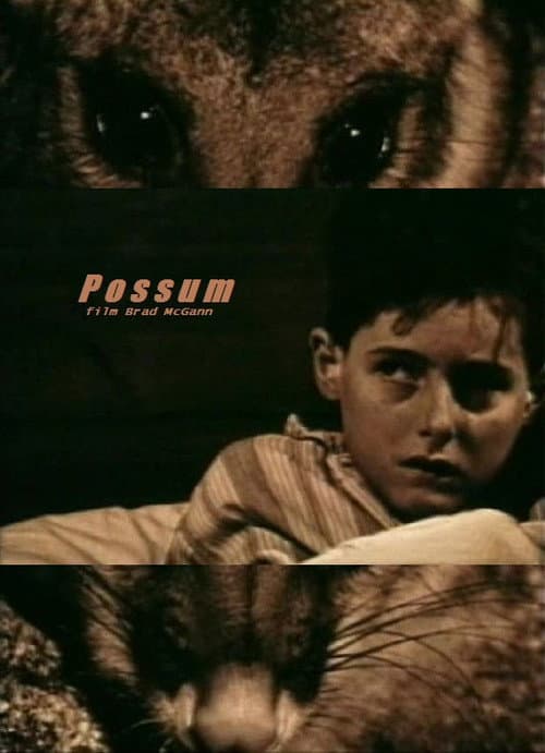 Постер: Possum