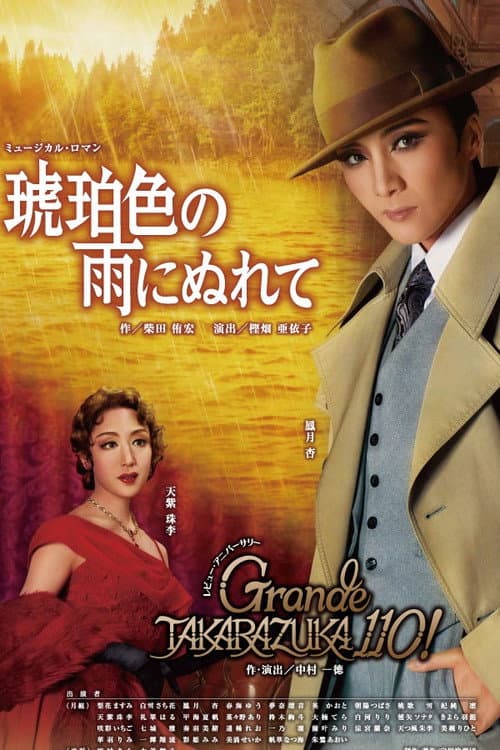 Постер: 琥珀色の雨にぬれて / Grande TAKARAZUKA 110!