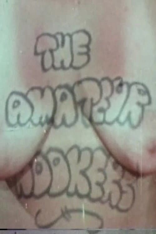 Постер: The Amateur Hookers