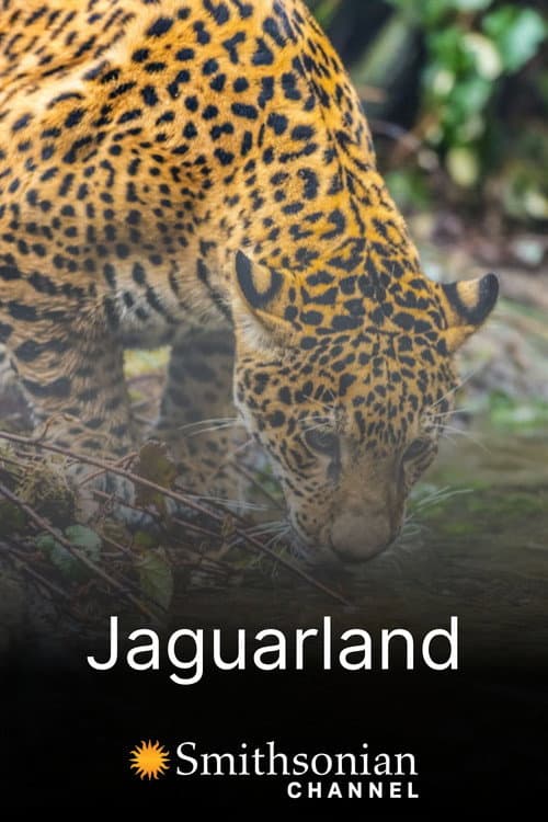 Постер: Jaguarland