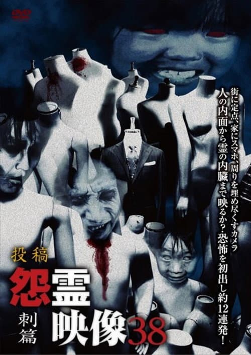 Постер: 投稿 怨霊映像 Vol.38 刺篇