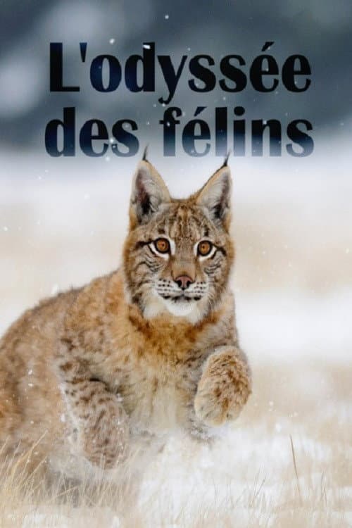 Постер: The Odyssey Of Felines