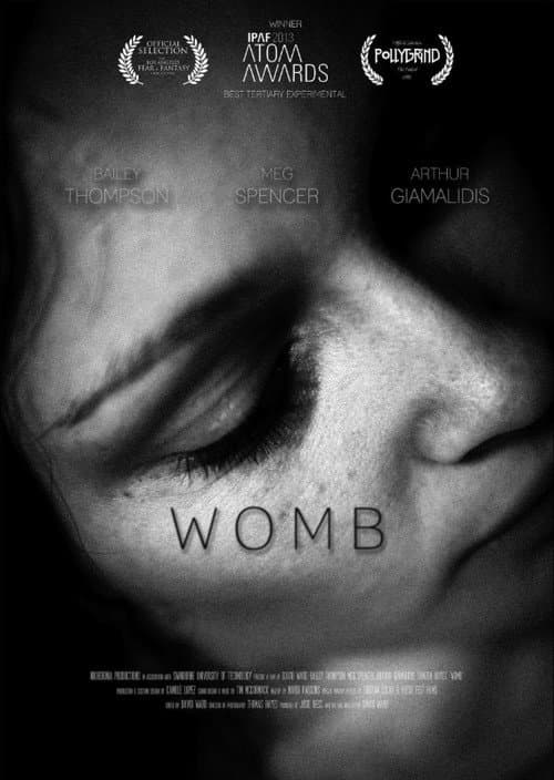 Постер: Womb