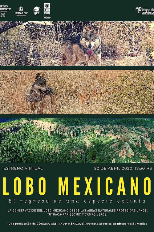 Постер: Lobo Mexicano