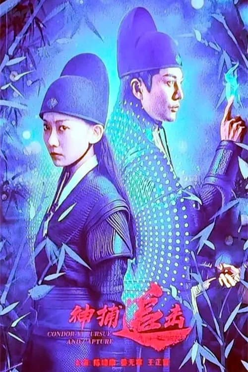 Постер: 神捕追击