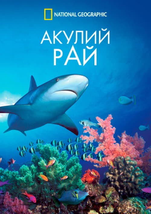 Постер: Акулий рай