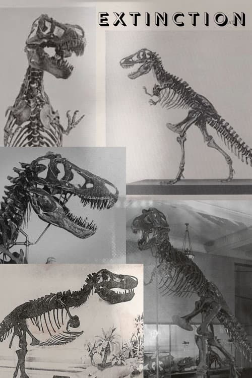Постер: Extinction