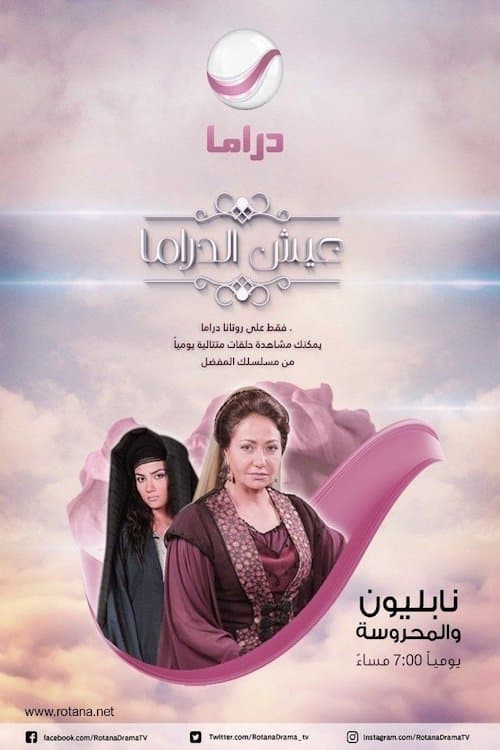 Постер: نابليون والمحروسة