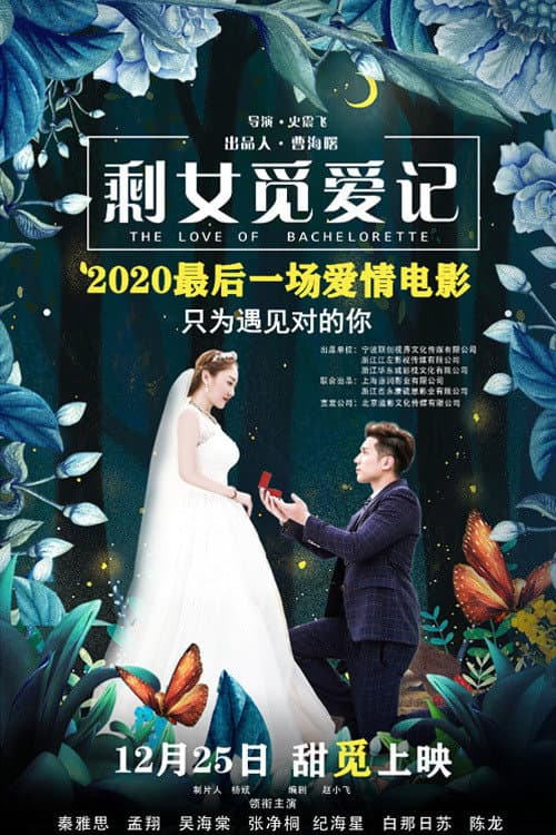 Постер: 剩女觅爱记