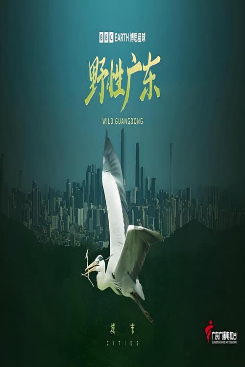 Постер: 野性广东