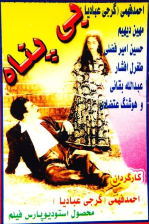 Постер: بی‌پناه