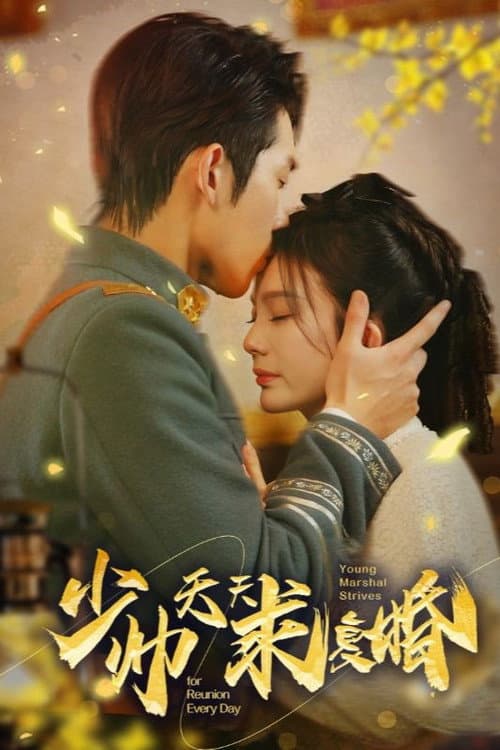 Постер: 少帅天天求复婚