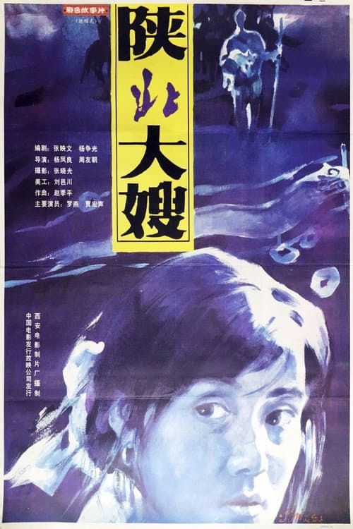 Постер: 陕北大嫂