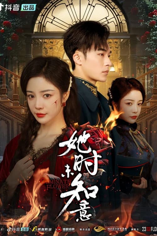 Постер: 她时未知意