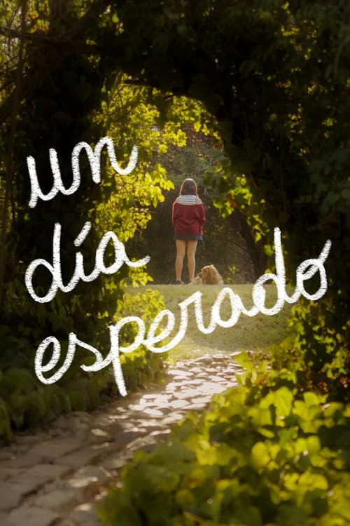 Постер: Un Día Esperado