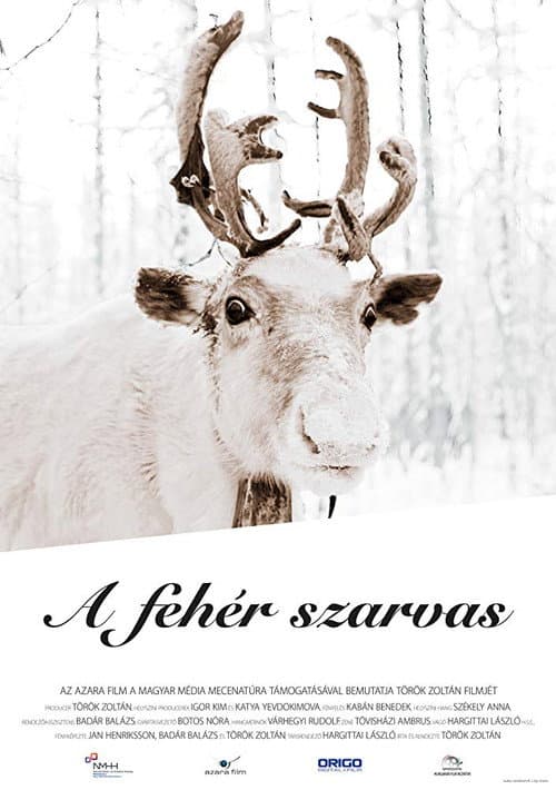 Постер: A fehér szarvas