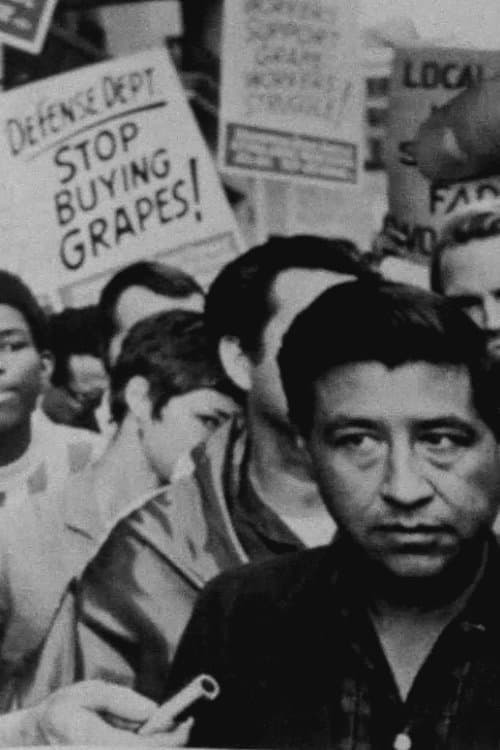 Постер: Stop Buying Grapes