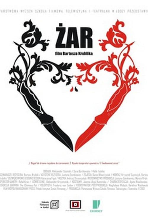 Постер: Żar