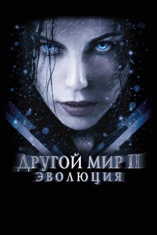 Кадр 15