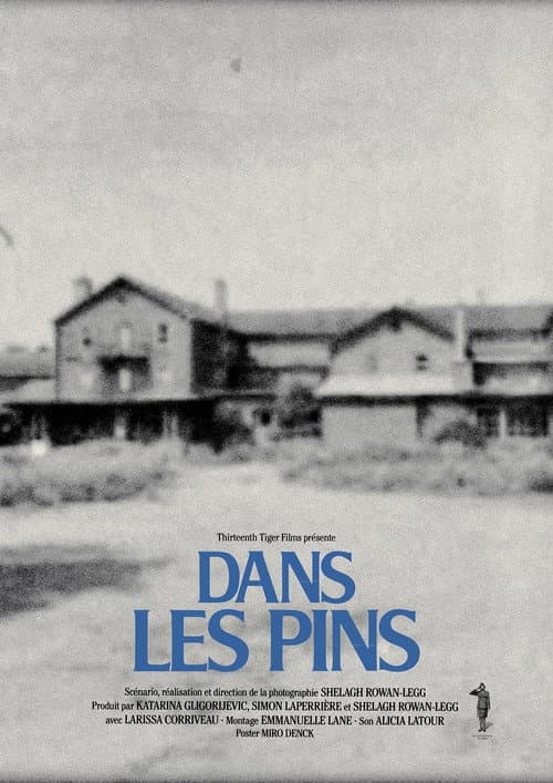 Постер: Dans les pins