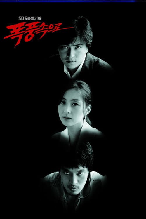Постер: 폭풍 속으로