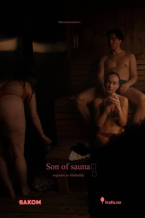 Постер: Son of Sauna