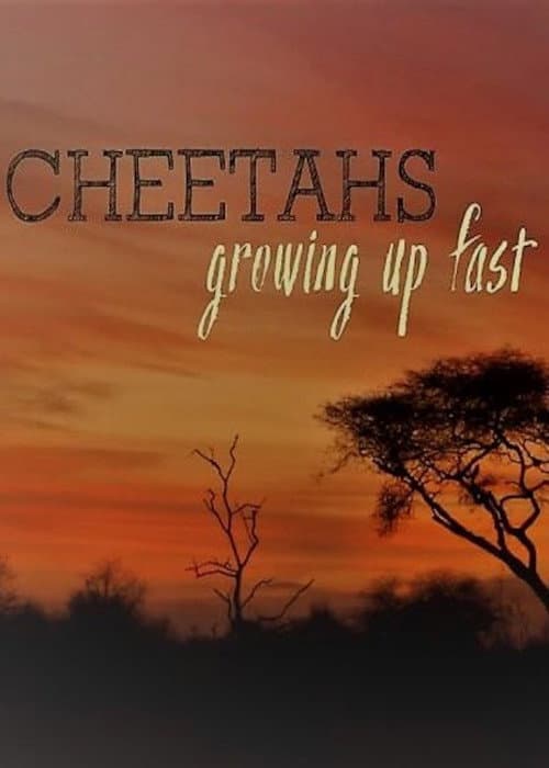 Постер: Cheetahs: Growing Up Fast
