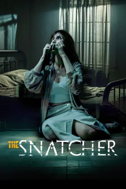 Постер: The Snatcher