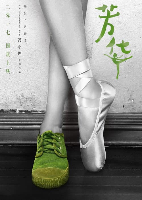 Постер: 芳华纪录片:我把芳华献给你