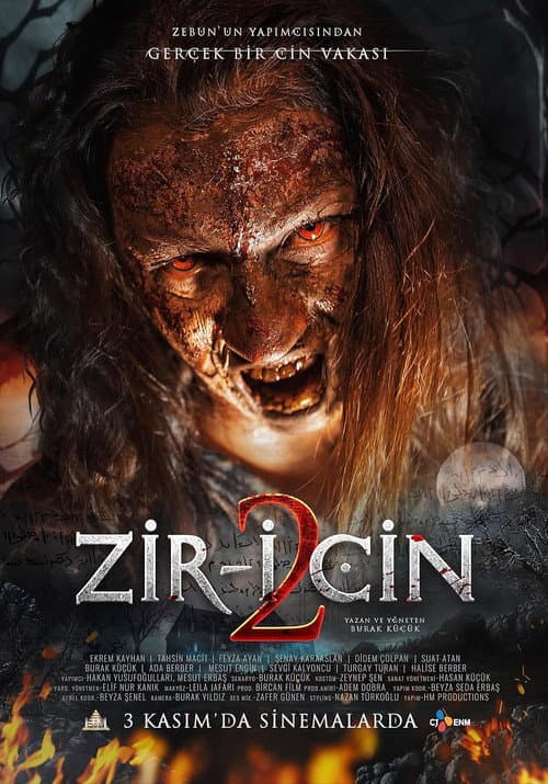 Постер: Zir-i Cin 2