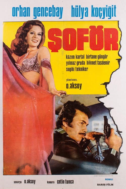 Постер: Şoför
