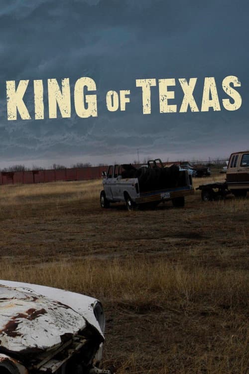 Постер: The King of Texas