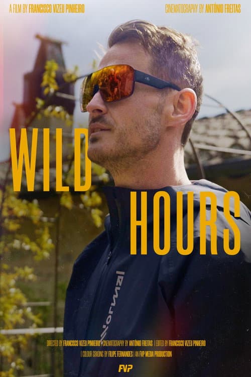 Постер: Wild Hours