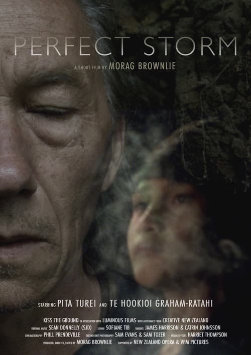 Постер: Perfect Storm