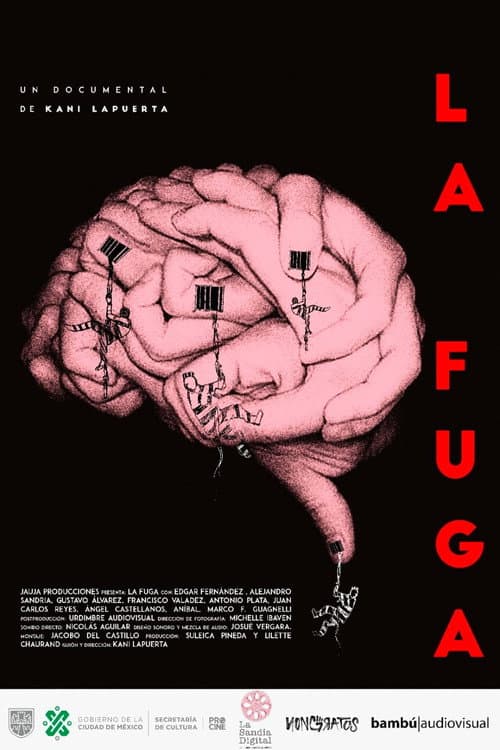 Постер: La fuga