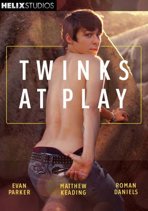 Постер: Twinks at Play