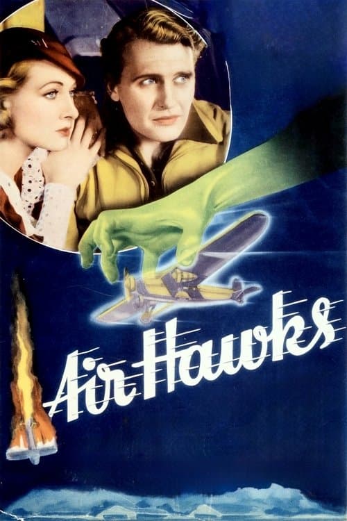 Постер: Air Hawks