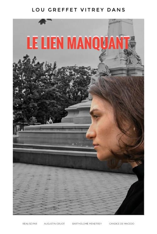 Постер: Le lien manquant