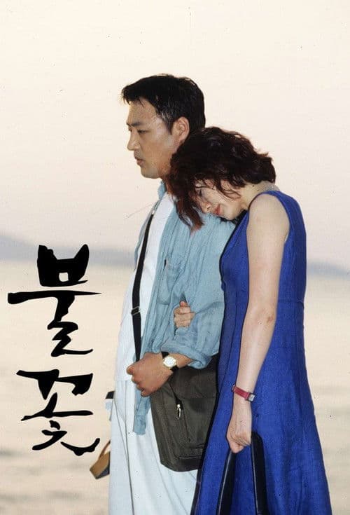 Постер: 불꽃