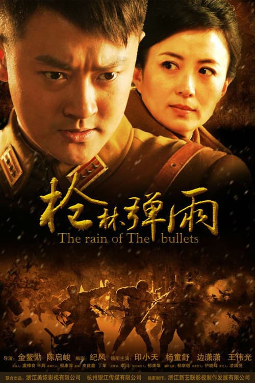 Постер: 枪林弹雨