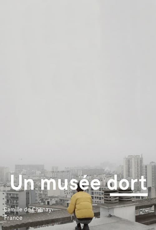 Постер: Un musée dort