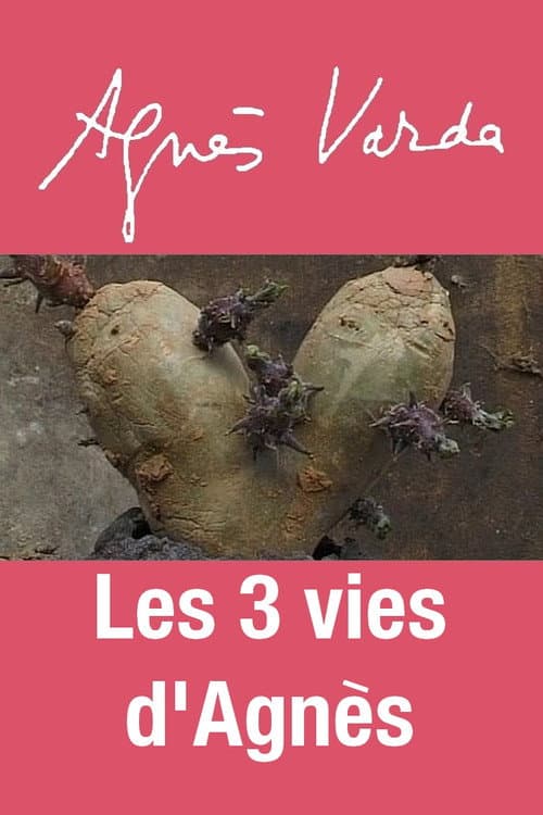 Постер: Les 3 vies d'Agnès