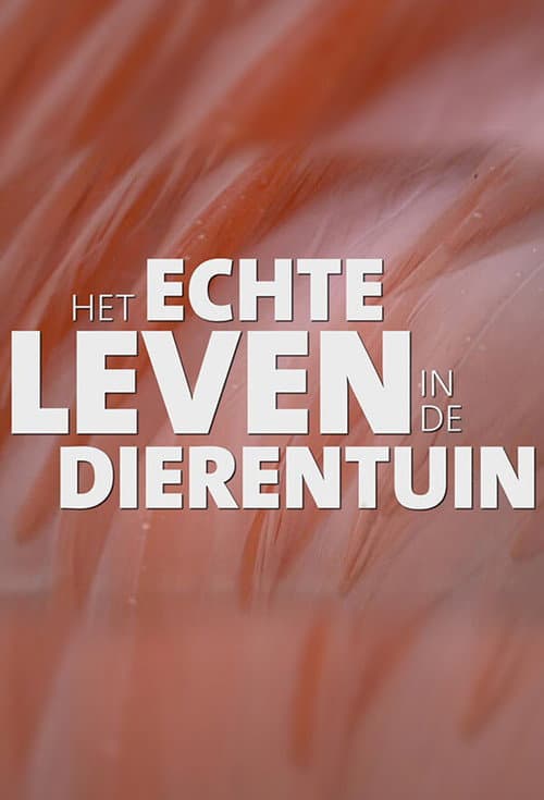 Постер: Het echte leven in de dierentuin