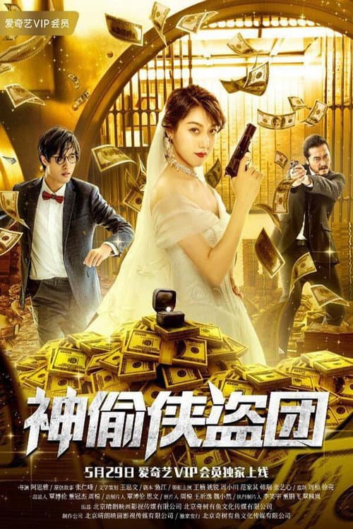 Постер: 神偷侠盗团